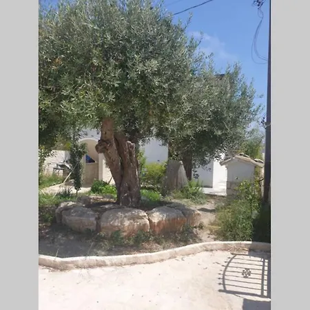 Apartment Grazioso Di Fronte Al Mare
